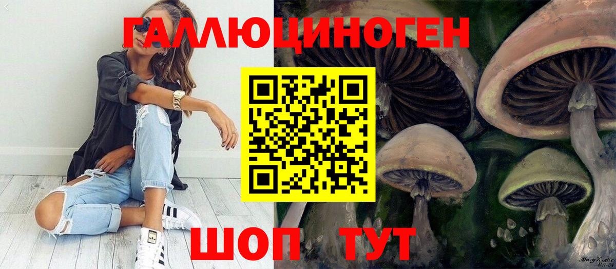 Кимовск  Галлюциногенные грибы MAGIC MUSHROOMS  Вход с VPN 