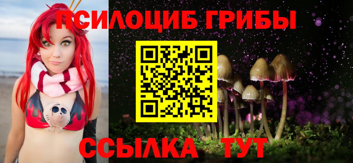 Псилоцибиновые грибы мицелий Кимовск